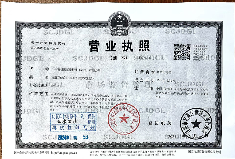 Business License